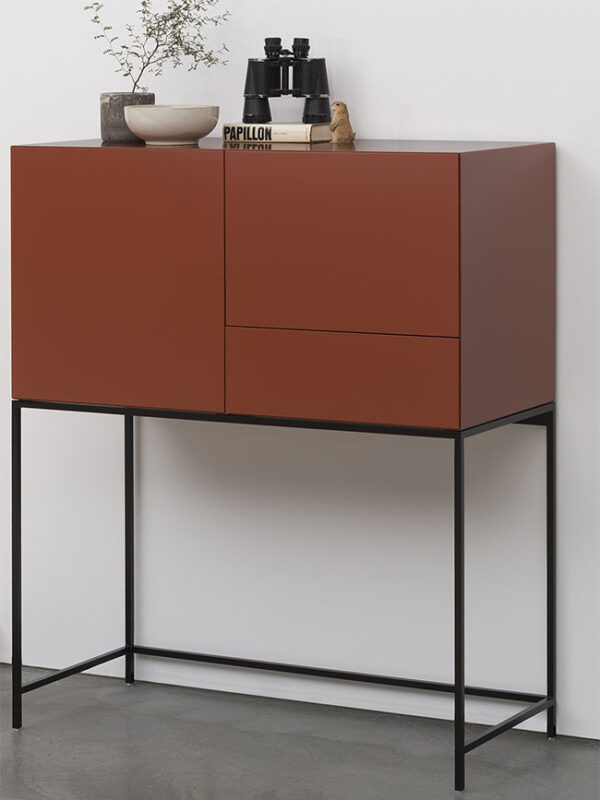 Pastoe Vision Cabinet