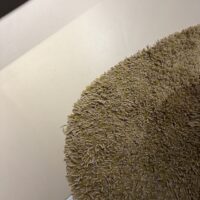 Sprout Ceylon Sand Brink&campman